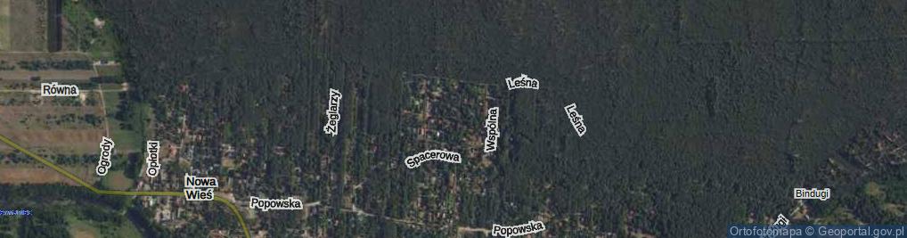 Zdjęcie satelitarne Osiedle Pod Lasem os.